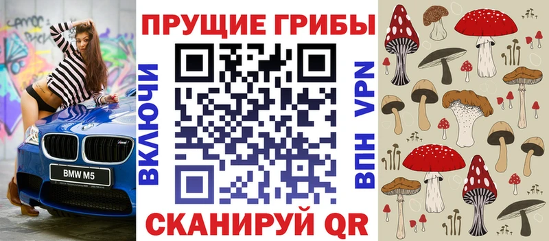площадка состав  Новосибирск  Псилоцибиновые грибы Cubensis  купить  